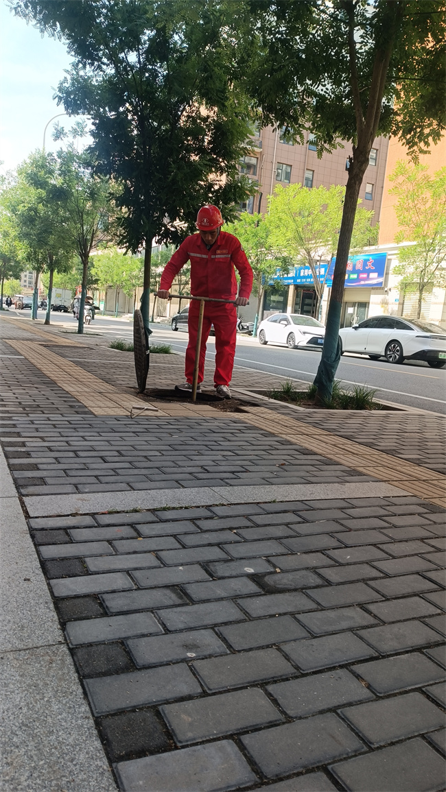 微信图片_20250513143830.jpg